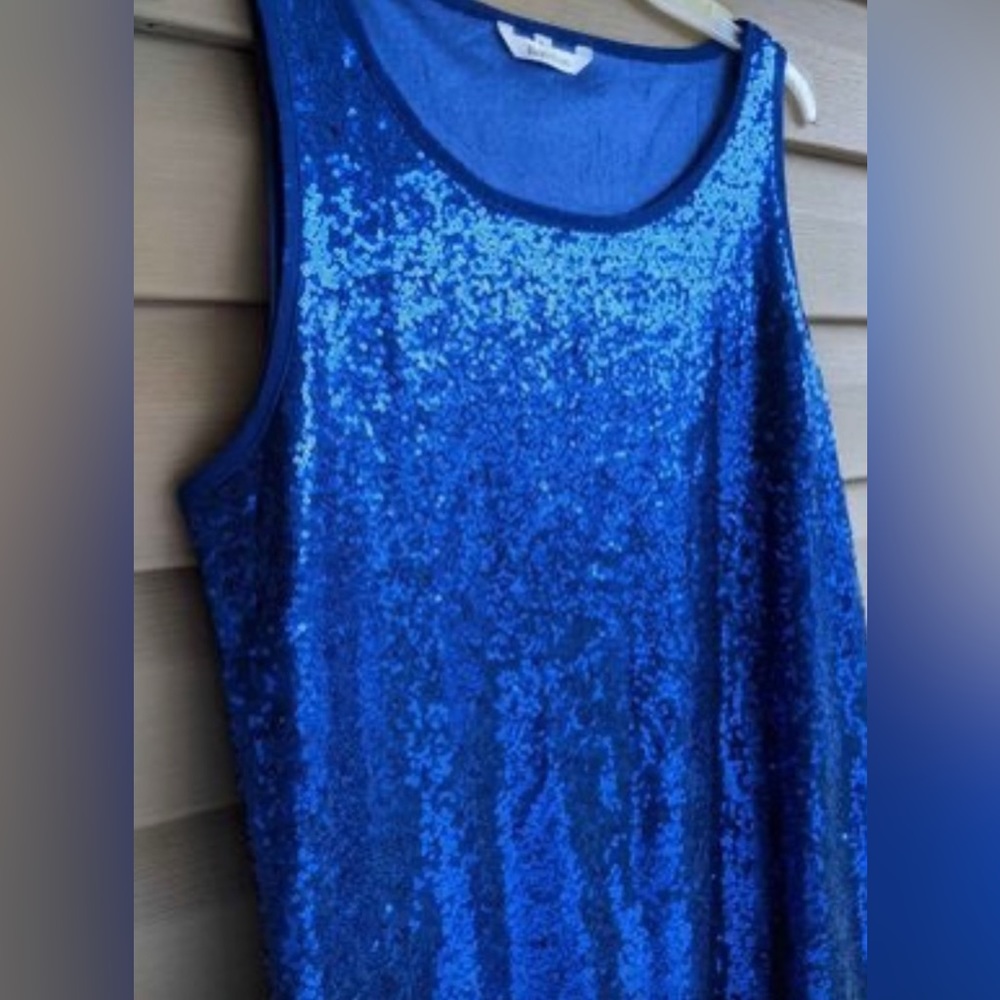 Barnkas Royal Blue Sequins Shell Or Tank Top.